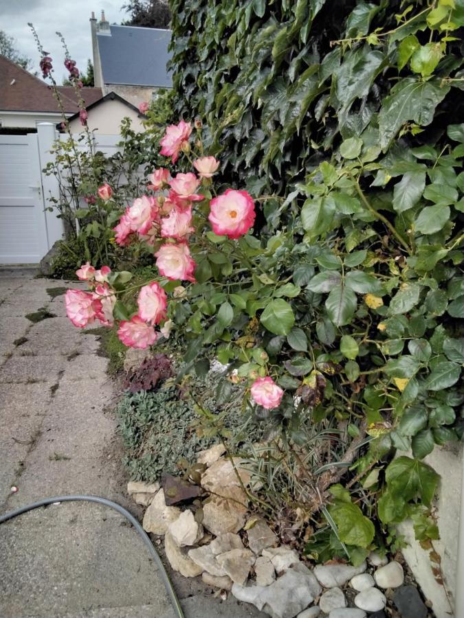 Hortensias 阿内勒 外观 照片